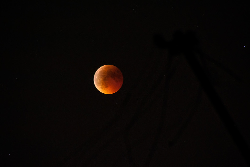 Фотографія Полное лунное затмение 2011 / Don Quijote de Ro Mancha / photographers.ua
