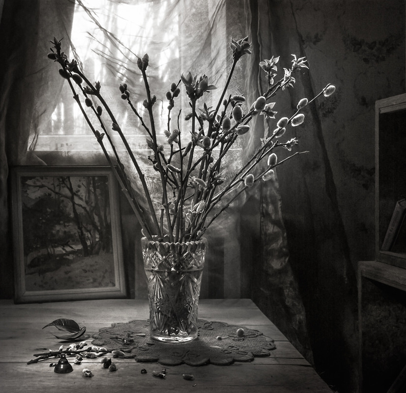 Фотографія Весна в старом доме... / Ольга Орлова / photographers.ua